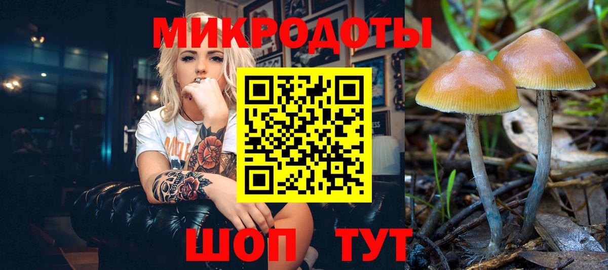Галлюциногенные грибы ЛСД Зеленодольск